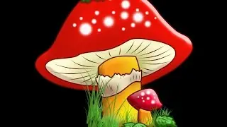 ,,ГРИБЫ,,