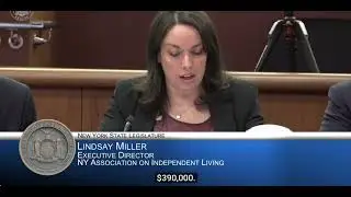 Joint Legislative Public Hearing on 2026 Executive Budget Proposal with  Lindsay Miller