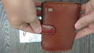 Портмоне мужское для автодокументов и паспорта Cosset 118810 -Lizard