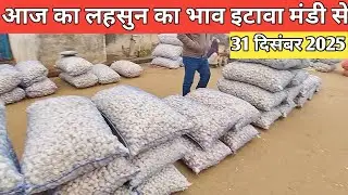 आज का लहसुन का भाव इटावा मंडी से | 31 दिसंबर 2025 | Garlic Rate Etawah Mandi
