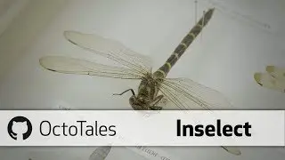 Octotales - Inselect