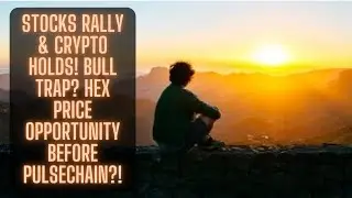 Stocks Rally & Crypto Holds! Bull Trap? Hex Price Opportunity Before Pulsechain?!
