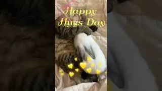 HUG DAY VIDEO ❤️ Hug Day Special WhatsApp Status Video Valentines Day Special #shorts #ytshorts