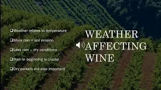 climate change in the wine industry