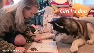 Girl vs dog | WHO will win