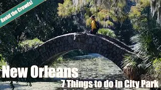 7 Things to Do in New Orleans | City Park Edition