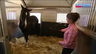 Doreen Proos lost voernijd probleem op bij paard op TV Gelderland