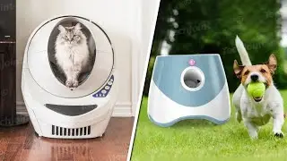 100 Amazon Pet Gadgets You&rsquo;ll Wish You Discovered Sooner! | Best for Your Furry Friends