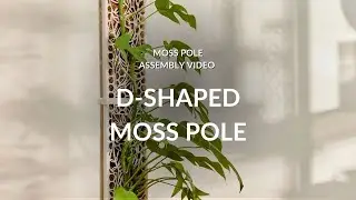 D-Shaped Moss Pole - Assembly Instructions & Guide - Mythos3Design