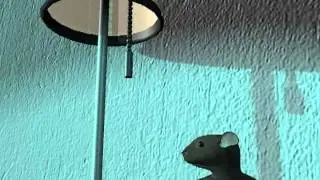 TheCleaningCrew