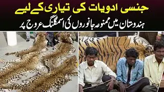 Illegal Wildlife Trade in India | White News Urdu