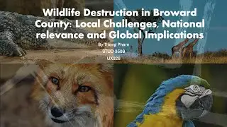 Global Perspective AS Level team project component 3 presentation: Wildlife Destruction