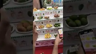 Aam Mahotsav 2025 Lucknow |AamMahotsav Lucknow 2025 | Mango Festival2025 |
