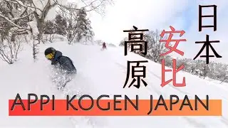 25-0116 Appi Kogen (Tree Runs) [Snowboarding] / 安比高原 (西森樹林) [單板滑雪] / 安比高原 [スノボ]