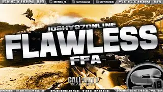 Flawless FFA on the map Havoc