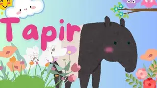 Tapir I facts about Tapir