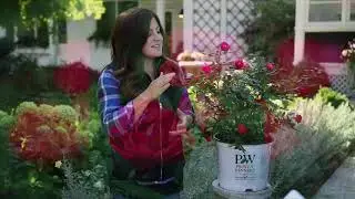 Proven Winners' Oso Easy Double Rose 🌿 'Garden Answer' Laura 🌿 Reston Farm Garden Market
