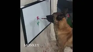 dog painting Tulips lesson
