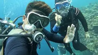 2025.07.22 01 SCUBA DSD GOPRO13 PESCADOR DIVESTORY MOALBOAL