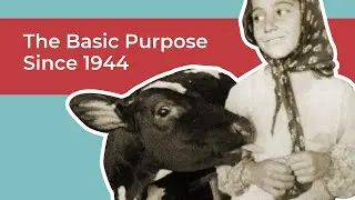 The Basic Purpose of Heifer International