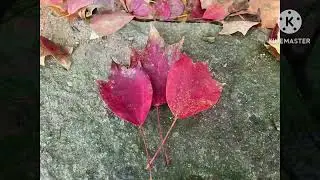 ふるさと(アレンジ Harue.Kanzaki)