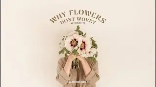 Why Flowers Don&rsquo;t Worry - Matthew 6:27-34