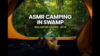 ASMR Camping⛺ in the Swamp Real Nature Sounds🌲| No Talking, No AI