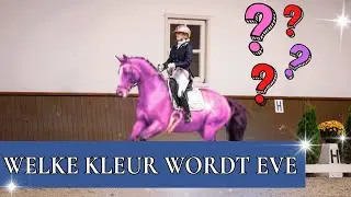 Eve krijgt een nieuwe kleur?! | PaardenpraatTV