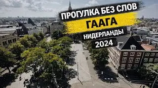 Летняя Гаага. Путешествие в Нидерланды [2024] Прогулка без слов | RO LIVE TRAVEL