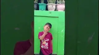 jpa