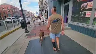 Mohawks Malinois - Mohawk John and Demi - Bowling Green, Kentucky - Visiting Nashville