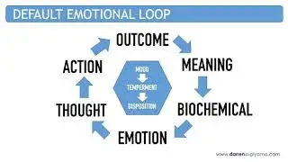 Recalibrating Your Emotional Loop