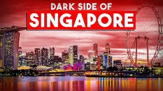 Unveiling Singapore's Economic Success: Shadows and Realities