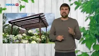 Советы по выбору курсов ландшафтного дизайна