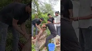 =! 🥺 এই অসহায় মানুষটি সাত বছর পর একটুখানি আরাম পেলেন! আপনাদের  সময় থাকলে পুরো ভিডিও টা দেখুন! 🥹🥺🥹