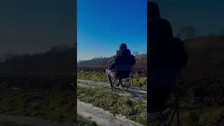 Alone #viral#alone#shorts#nature
