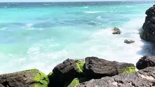 Ras Al Jinz Oman- Turtle   watching