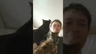 Cats Licking My Head #cat #love  #headshot #like