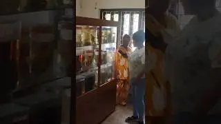 बेतला नेशनल पार्क&nbsp;में नेचर इंटरप्रिटेशन सेंटर (म्यूजियम) झारखंड😍💞