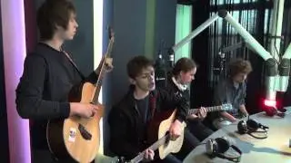 THE RESTLESS LIVER (unplugged 2015)