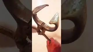 Burdizzo castrator pliers tool #shorts #testiclesremove #farming