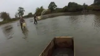 peche etang