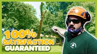 What to expect from the Best Tree Removal Service in Murfreesboro