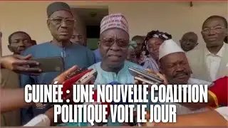 Guin&eacute;e: naissance d'une nouvelle coalition politique. Apr&egrave;s le CPP, le FPP, une autre voit le jour.