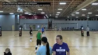 Stop Thinking, Start PERCEIVING! Train to use PERCEPTUAL SENSES to regulate actions in VOLLEYBALL.