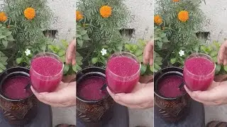 Holi Special Khatti Kanji Recipe | Indian Probiotic Drink For Gut Health | गाजर और चुकंदर की कांजी