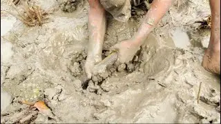 Crazy Eel Fishing | Boy Catching Eel Fish With Medicine From Under Muddy
