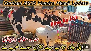 Gondal mandi 19 May 2025 || Visit Cow Mandi with czn's