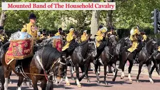 Mounted Band of The Household Cavalry #troopingthecolour #kingsguard #horseguardsparade #londonwalk
