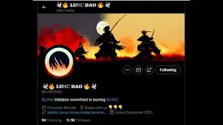 #LUNCDAO IS BURNING MILLIONS OF #LUNACLASSIC DAILY ! STAKING LUNC TO BURN ! VALIDATOR BURNING LUNC!